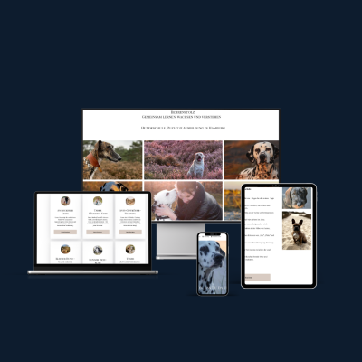 Neue Website für Hundeschule & Dalmatinerzucht : Sichtbarkeit & Reichweite auf Platz 2 bei Google 