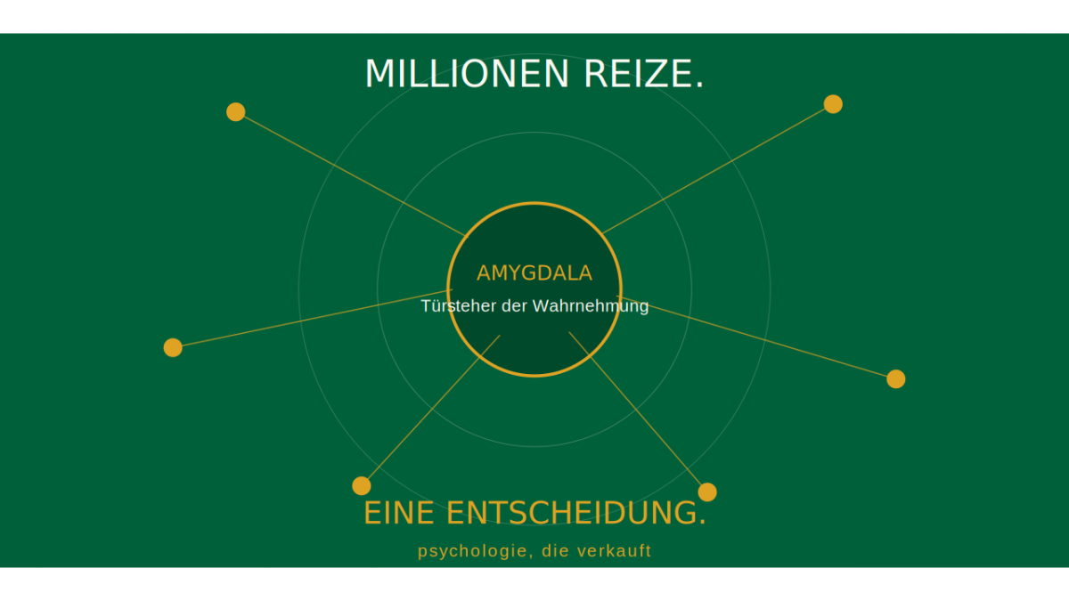 Amygdala - psychologie, die verkauft by Matthias Bullmahn