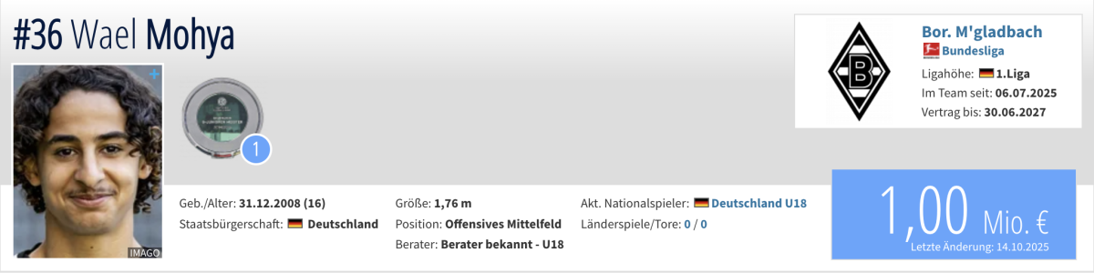Quelle: https://www.transfermarkt.de/wael-mohya/