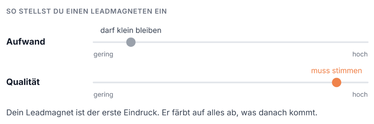 Einstellungsübersicht für Leadmagneten mit verschiedenen Optionen.