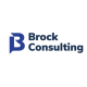 Brock Consulting GmbH