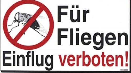 Insektenschutztür