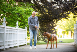 Bild #1 von 3