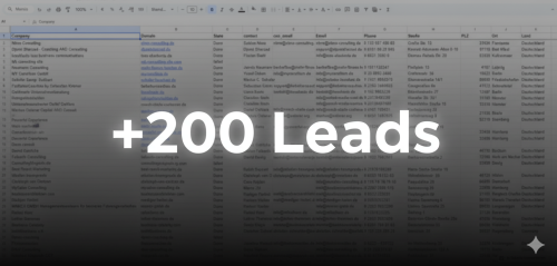 Leadliste +200 Leads