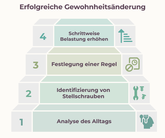 Grafik zeigt die Schritte zur erfolgreichen Gewohnheitsänderung.
