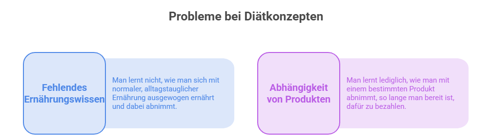 Darstellung der Probleme bei Diätkonzepten: fehlendes Ernährungswissen und Abhängigkeit von Produkten.