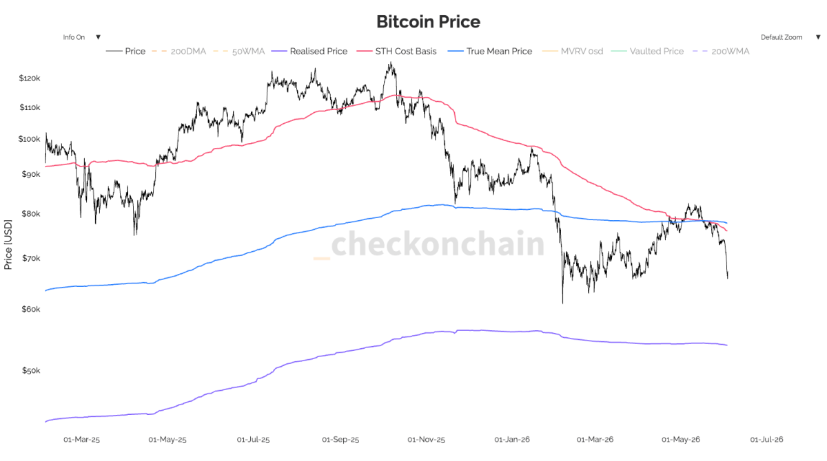 Quelle:&nbsp;https://charts.checkonchain.com/