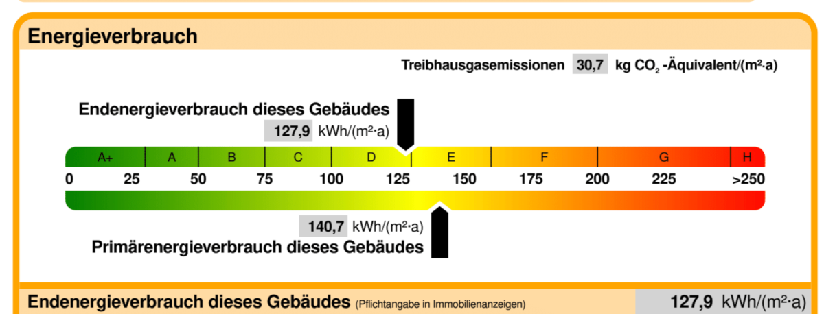 Auszug Energieausweis