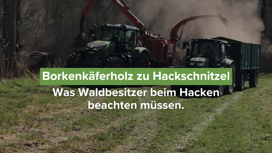 Traktoren hacken Borkenkäferholz zu Hackschnitzel im Wald.