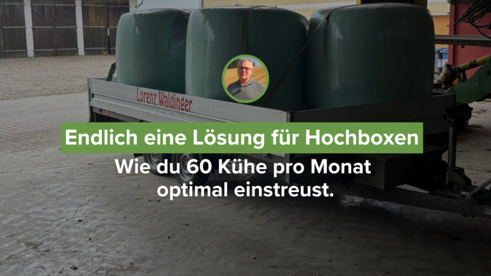 Endlich eine Lösung für Hochboxen: Wie du 60 Kühe pro Monat optimal einstreust