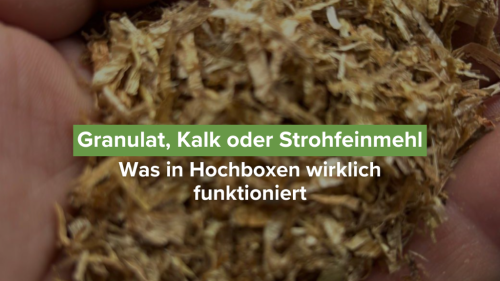 Granulat, Kalk oder Strohfeinmehl: Was in Hochboxen wirklich funktioniert