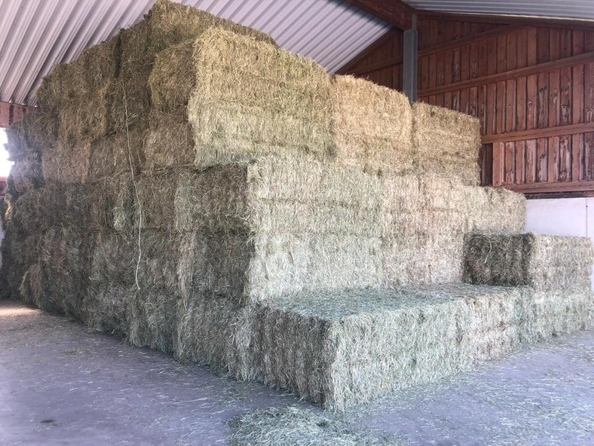 Das oberste Ziel bei jeder Ernte ist es Heu in bester Qualität zu produzieren.