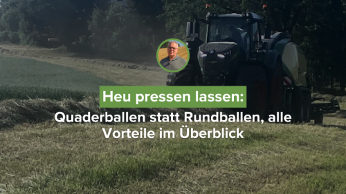 Heu pressen lassen: Quaderballen statt Rundballen, alle Vorteile im Überblick
