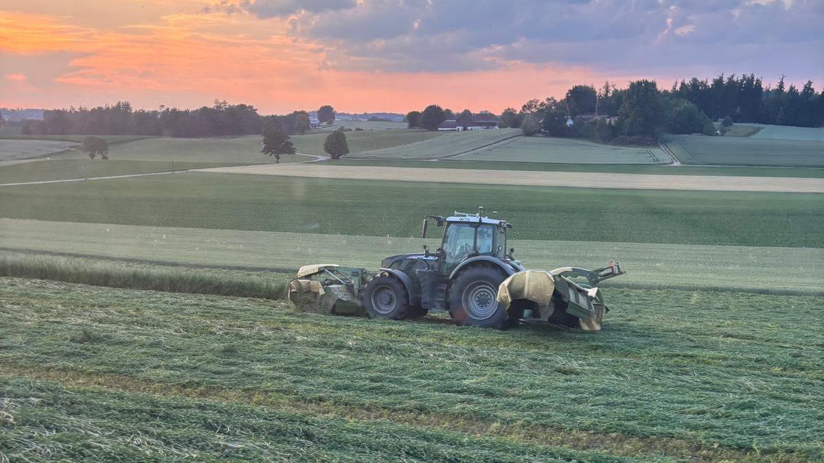 Traktor bei der Luzerneernte auf einem Feld bei Sonnenuntergang.