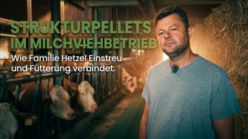 Strukturpellets im Milchviehbetrieb: Wie Familie Hetzel Einstreu und Fütterung verbindet