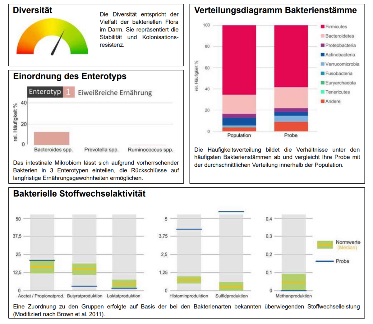 Ein Darmfloratest bei Psoriasis erspart sehr viel Zeit und Kopfschmerzen