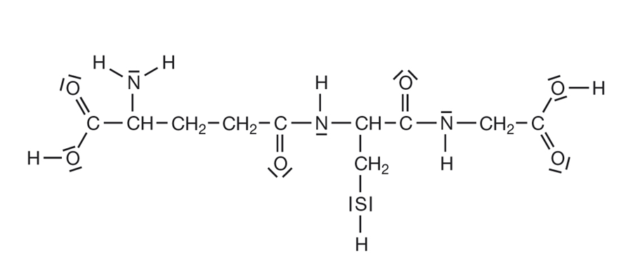 Molekülstruktur von N-Acetylcystein zur Anwendung bei Autoimmunerkrankungen.