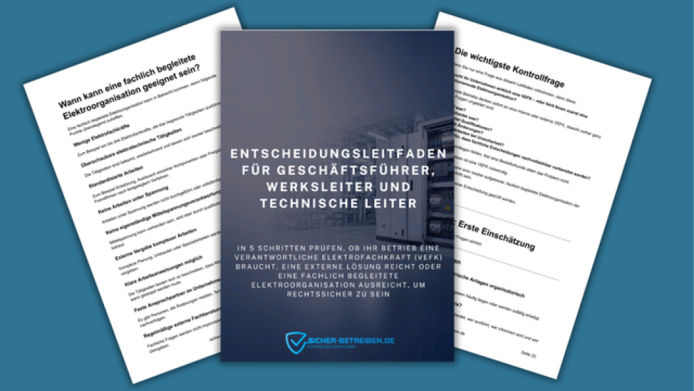 Welche Elektroorganisation braucht dein Unternehmen wirklich? Der Entscheidungsleitfaden für Geschäftsführer, Werksleiter und technische Verantwortliche