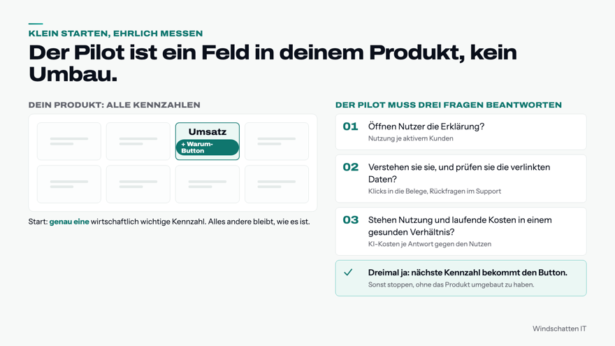 Dashboard der Software zur Umsatz Analyse mit Fragen zur Erklärung.