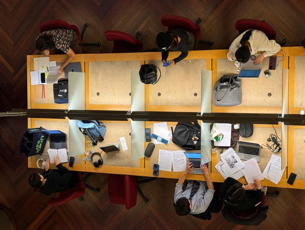 Vorbereitung internationaler Studenten auf Nursing-Programme