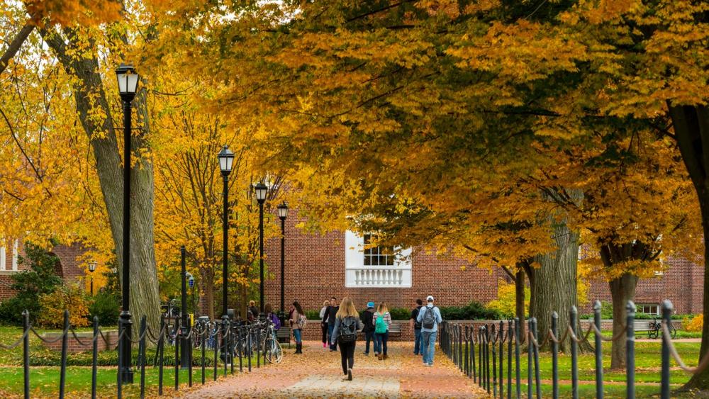 Studierende auf dem Campus eines Community Colleges in den USA