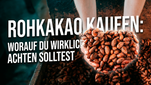 Rohkakao kaufen: Worauf du wirklich achten solltest