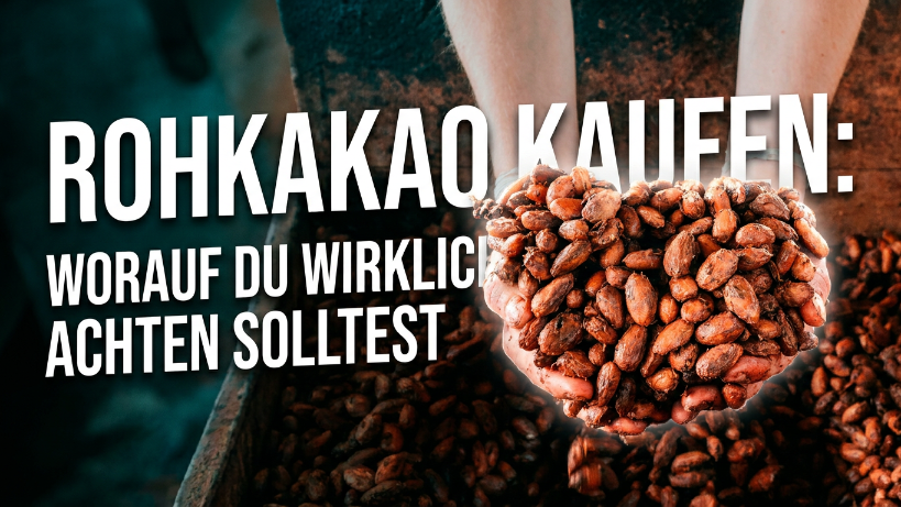 Hände halten frische Kakaobohnen, ideal für Rohkakao kaufen.