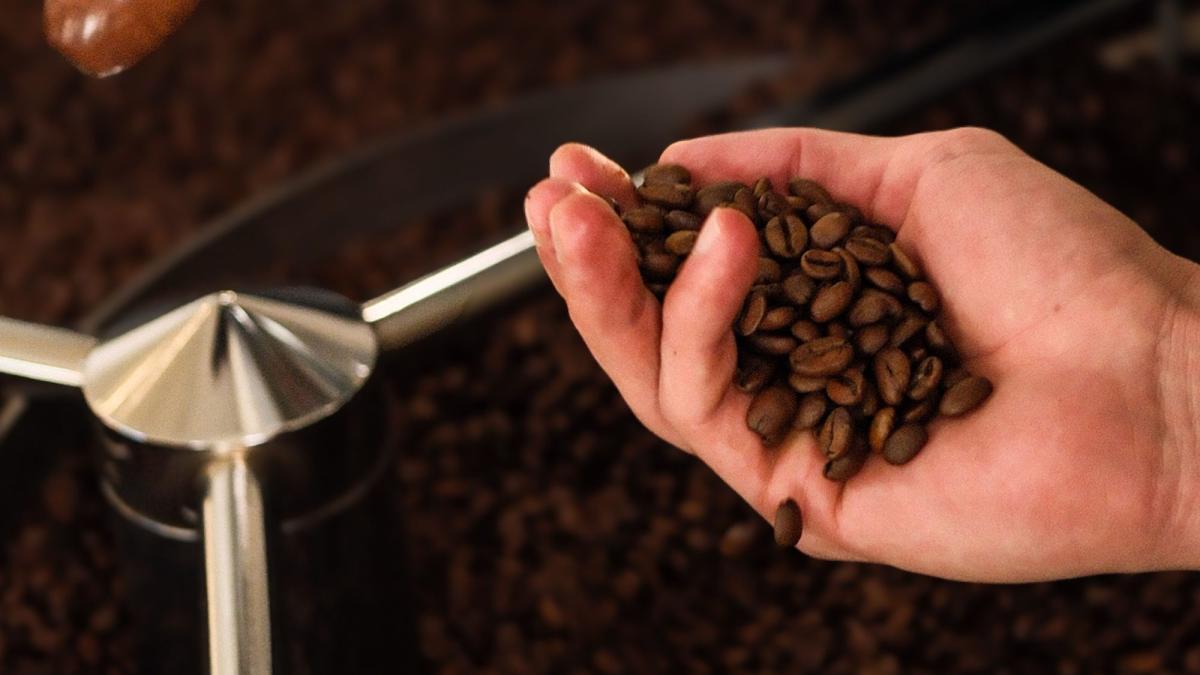 Eine Hand hält frische Kaffeebohnen zur Auswahl der besten Kaffeebohnen.