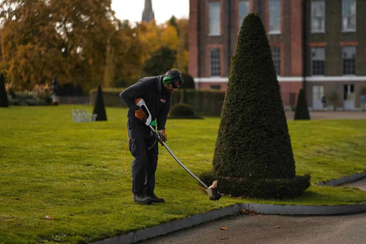 Die meisten Garten- und Landschaftsbauer unterschätzen die Macht einer modernen Webseite.
