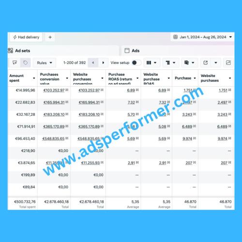 Meta Ads Resultate 2024