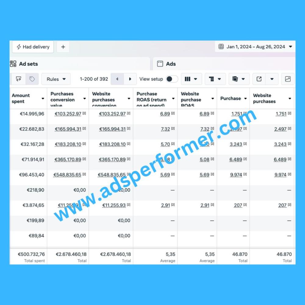 Meta Ads Resultate 2024