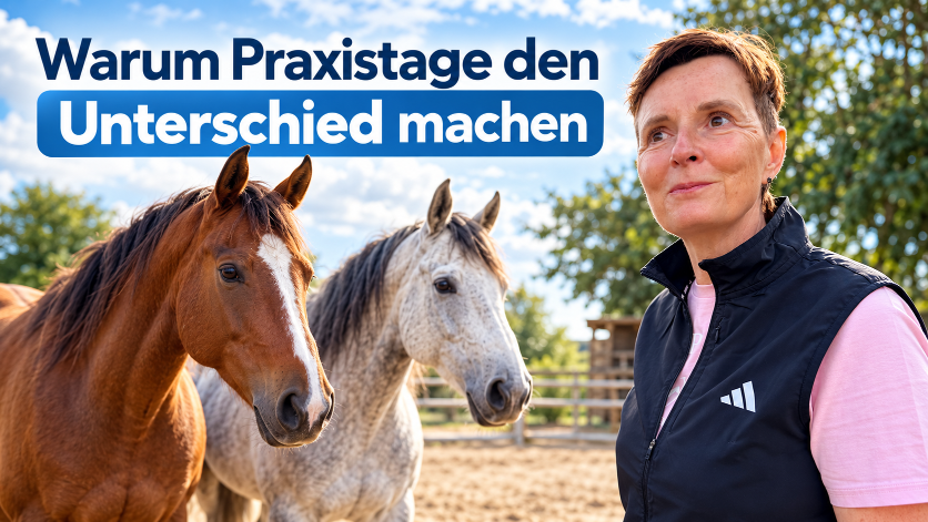 Eine Frau steht neben einem braunen und einem grauen Pferd; pferdegestütztes Coaching braucht begleitete Praxis.