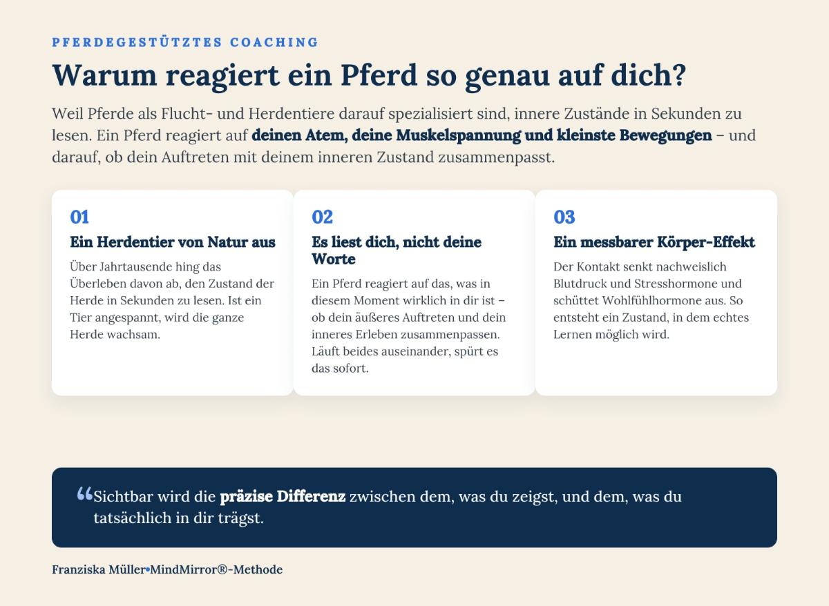 Ein Text über pferdegestütztes Coaching und die Reaktionen eines Pferdes.