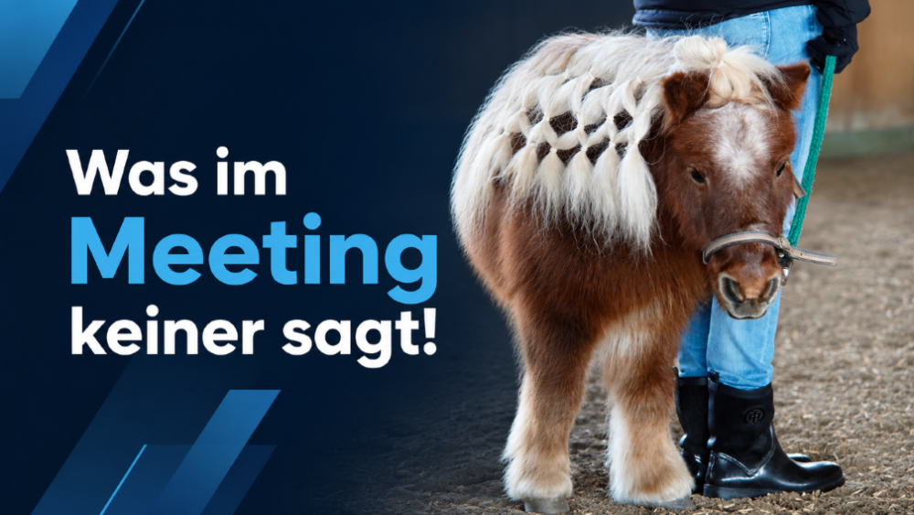 Pferdegestütztes Coaching bietet neue Erkenntnisse in Meetings.