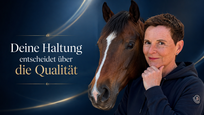 Die Haltung eines Pferdegestützten Coaches entscheidet über die Qualität des Coachings.