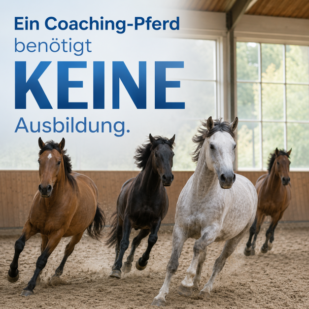 Pferde benötigen KEINE Ausbildung, um für ein Coaching eingesetzt zu werden!
