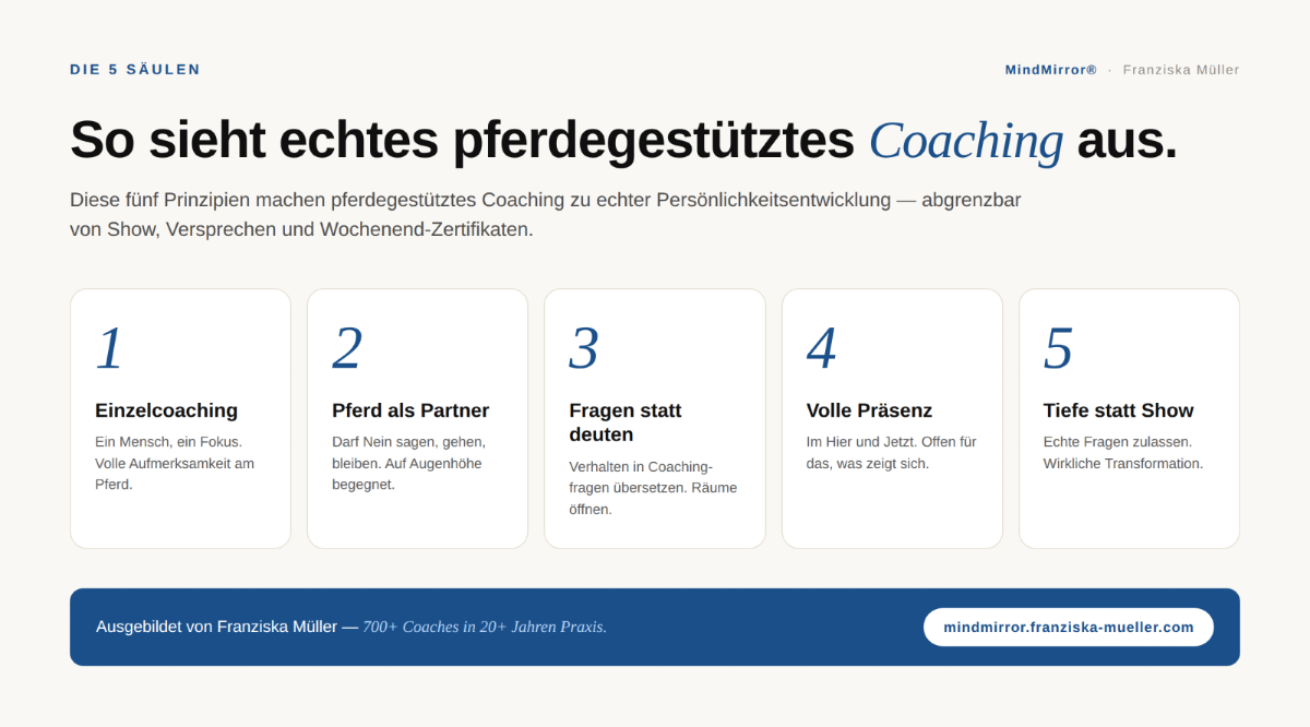 So sieht ein echtes Pferdegestütztes Coaching aus.