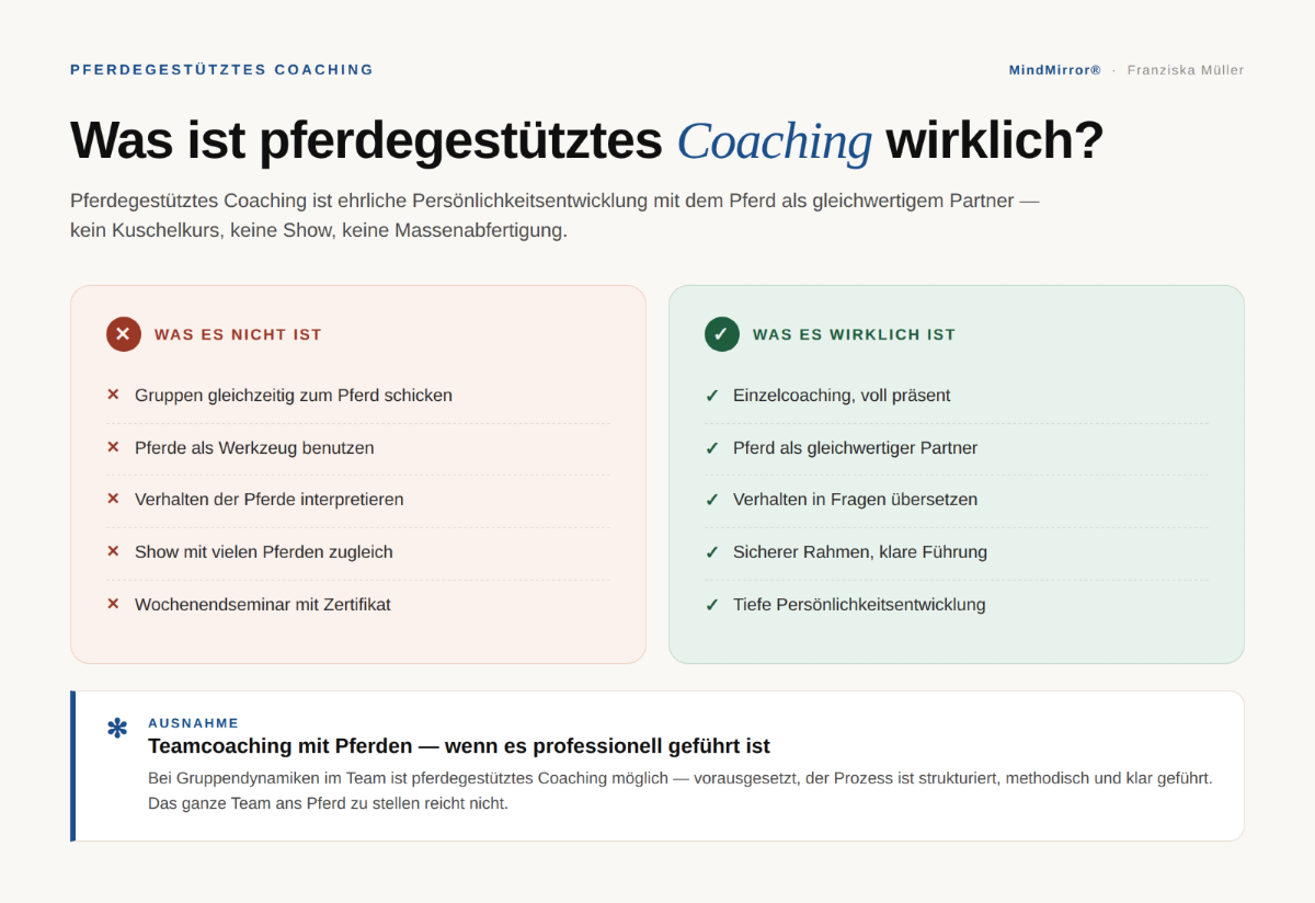 Was ist Pferdegestütztes Coaching?