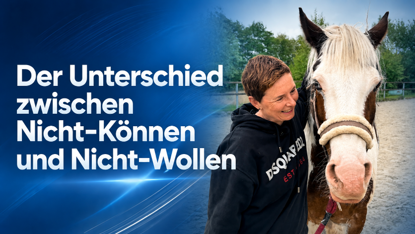 Als Coach kannst du viel geben, wenn dein Klient es nicht annehmen will, musst du das akzeptieren.