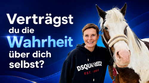 Pferde zeigen dir gnadenlos die Wahrheit! 