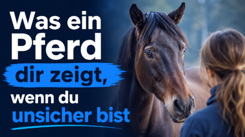 Druck zerstört Vertrauen