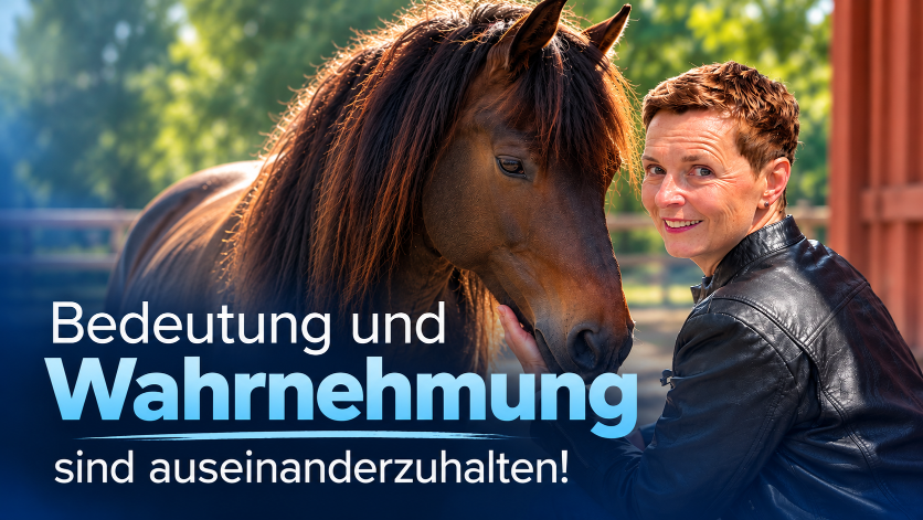 Eine Frau steht neben einem Pferd; eingeblendeter Text thematisiert Wahrnehmung im pferdegestützten Coaching Ausbildung.