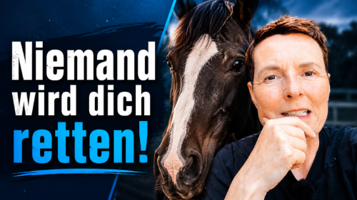 Feststecken und darauf warten, gerettet zu werden?