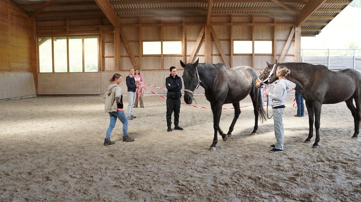 Pferdegestütztes Coaching erreicht Menschen auf tiefster Ebene und das Erleben macht es so nachhaltig!
