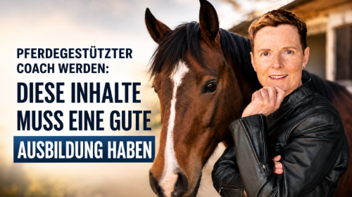 Diese Inhalte muss eine gute Ausbildung zum pferdegestützten Coach haben