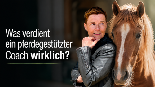 Was verdient ein pferdegestützter Coach?