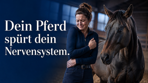 Pferdegestütztes Coaching hilft dir, dein Nervensystem zu regulieren!