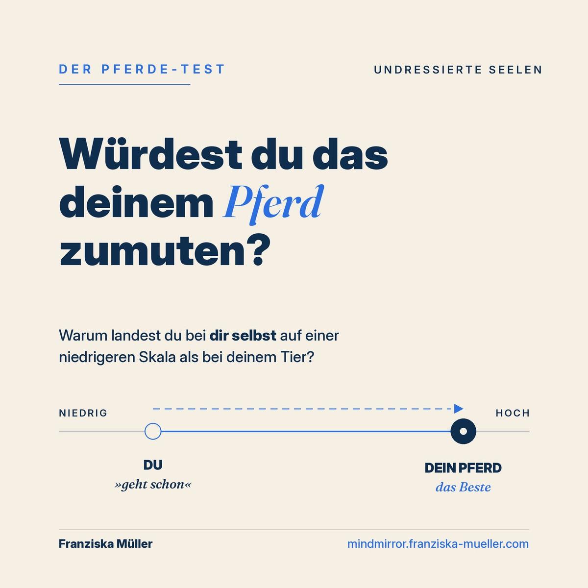 Der Pferde-Test zeigt, wie du dich im Vergleich zu deinem Pferd einschätzt.