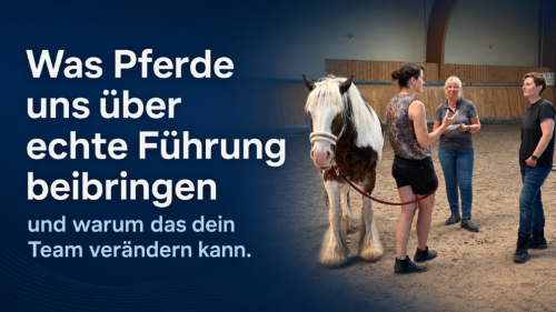 Was Pferde Führungskräften über Führung beibringen