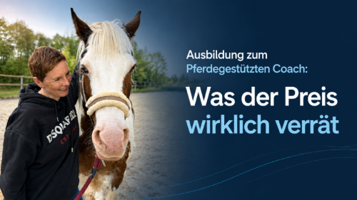 Ausbildung zum Pferdegestützten Coach: Was der Preis wirklich verrät